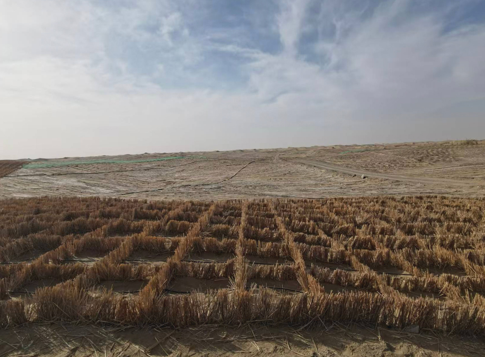 1730939012145788.jpg 1730939012145788.jpg