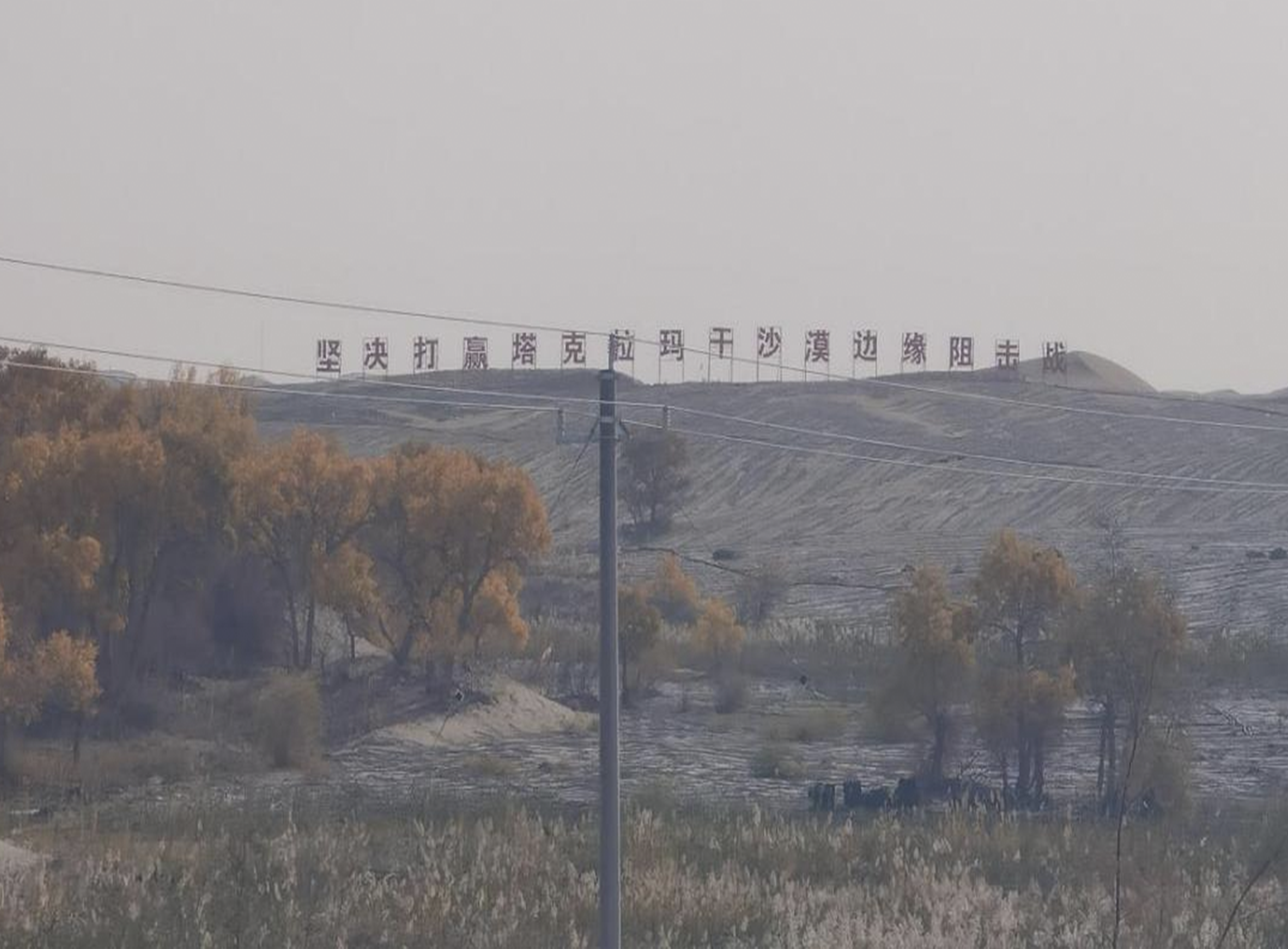 1730939031687566.png 1730939031687566.png