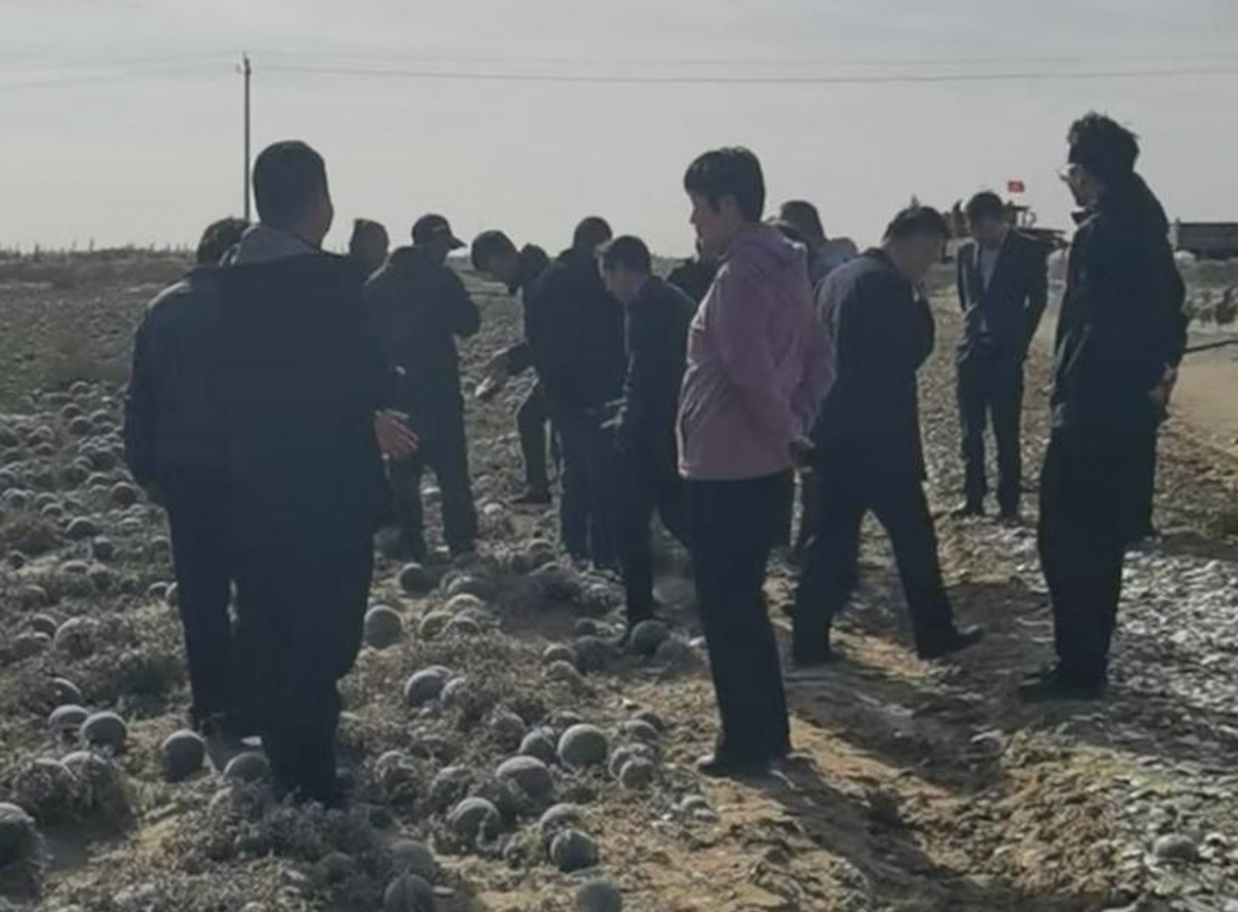 1730939364113626.png 1730939364113626.png